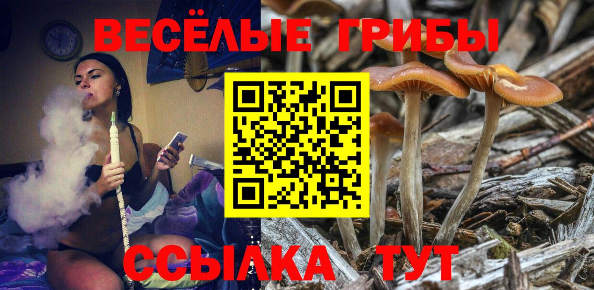 Псилоцибиновые грибы Psilocybe Ялта