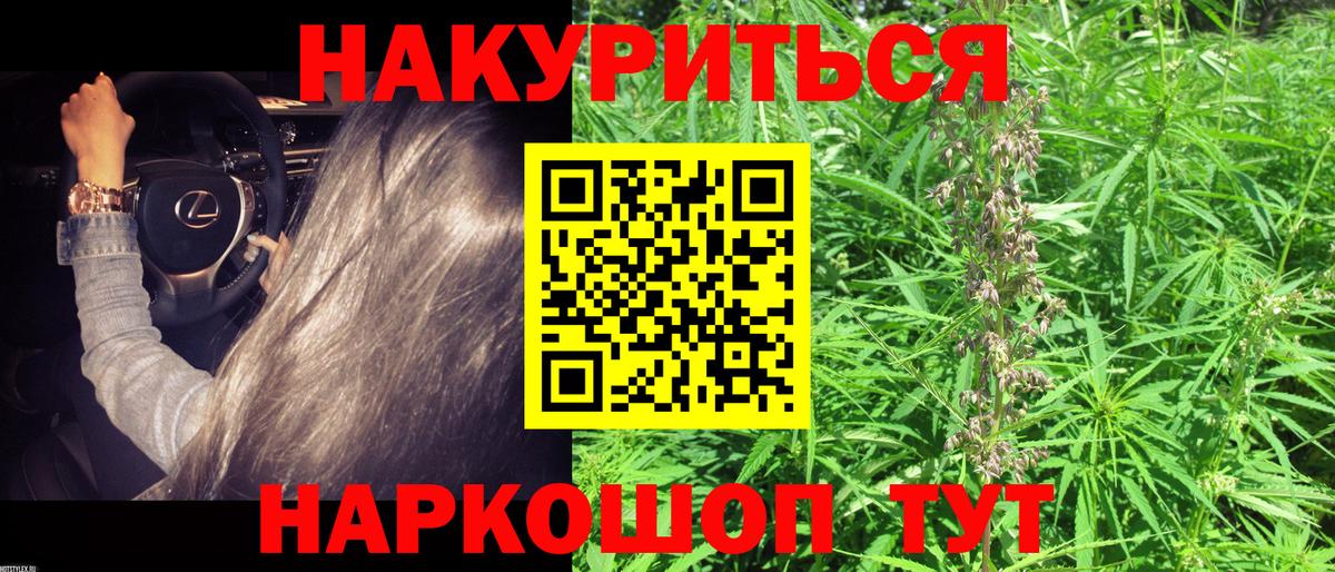 Ялта  Конопля план  Каннабис гибрид  Вход с VPN  Канабис сатива 